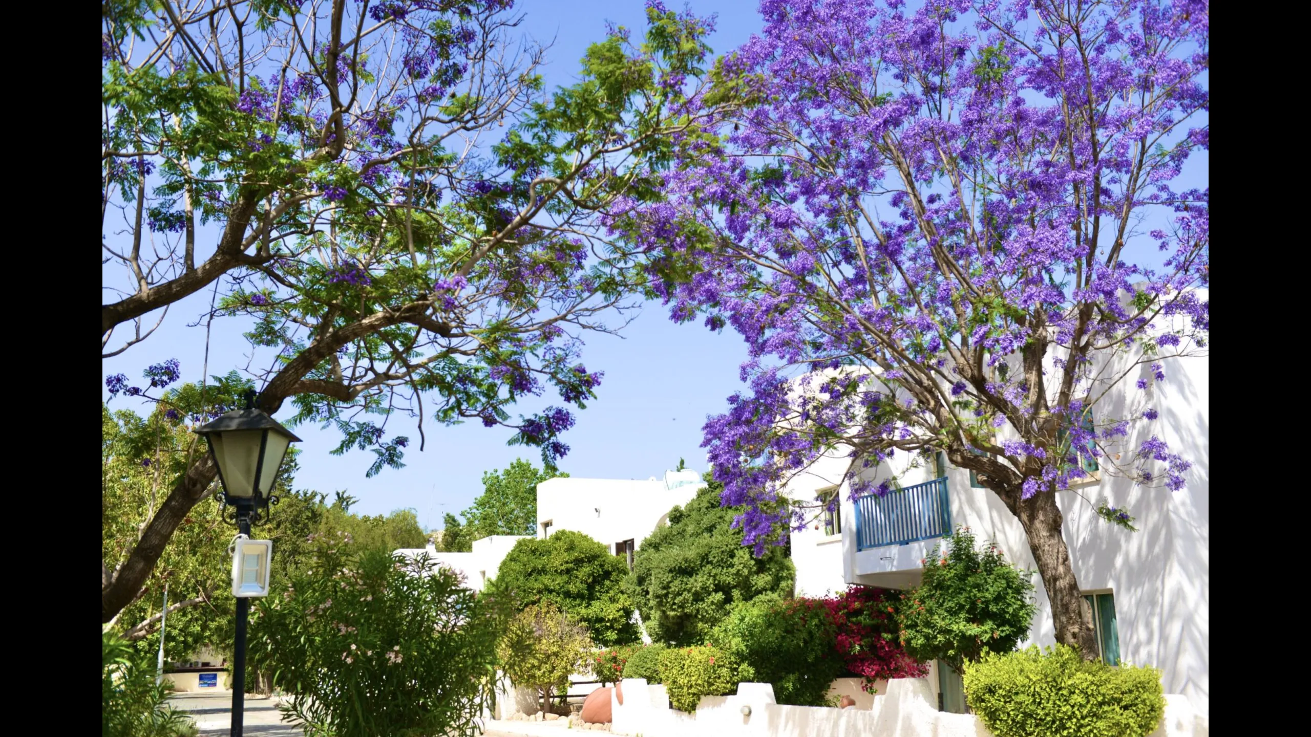 Стильные апаратменты, Като Пафос, Пафос 5