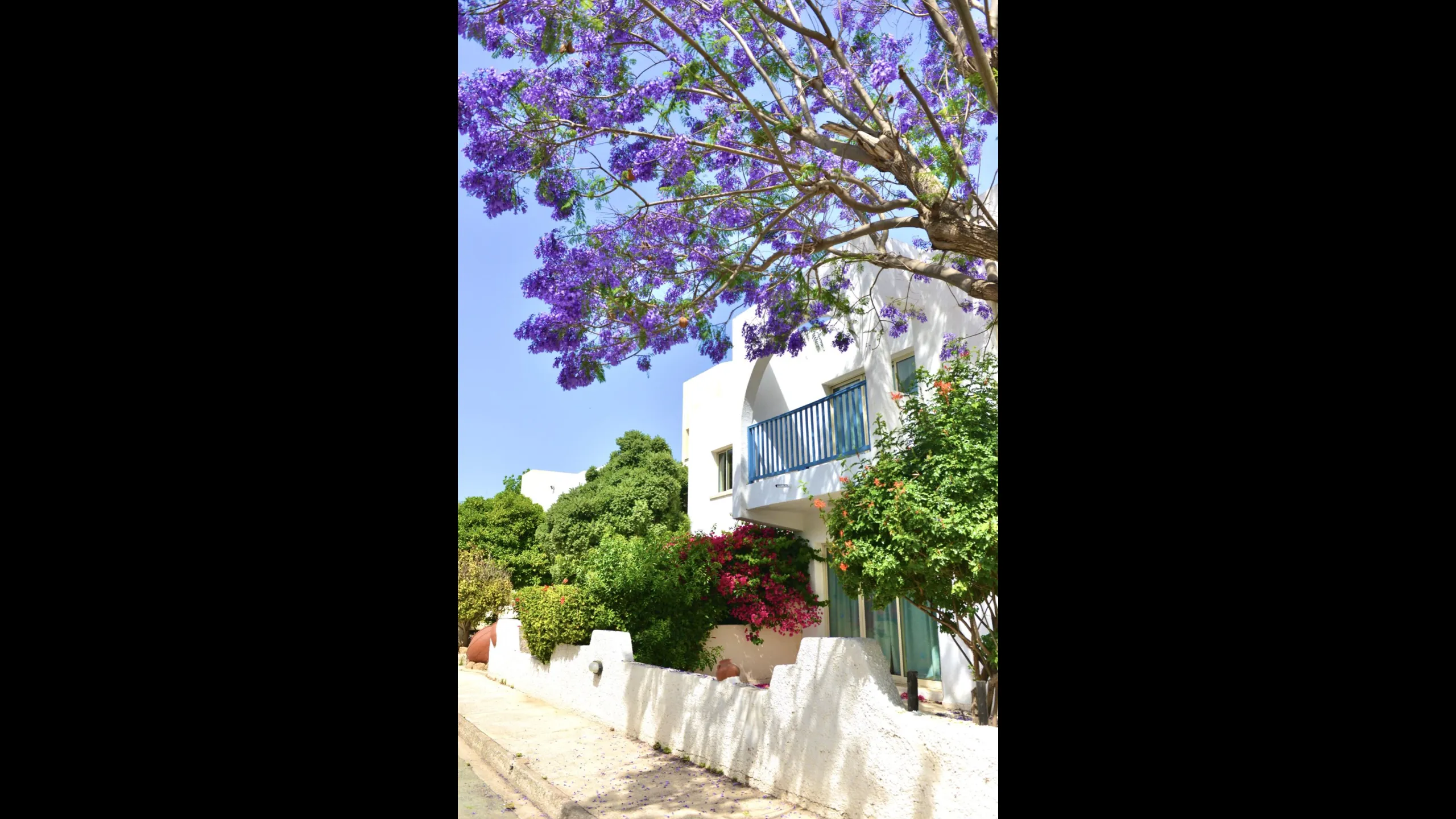 Стильные апаратменты, Като Пафос, Пафос 7