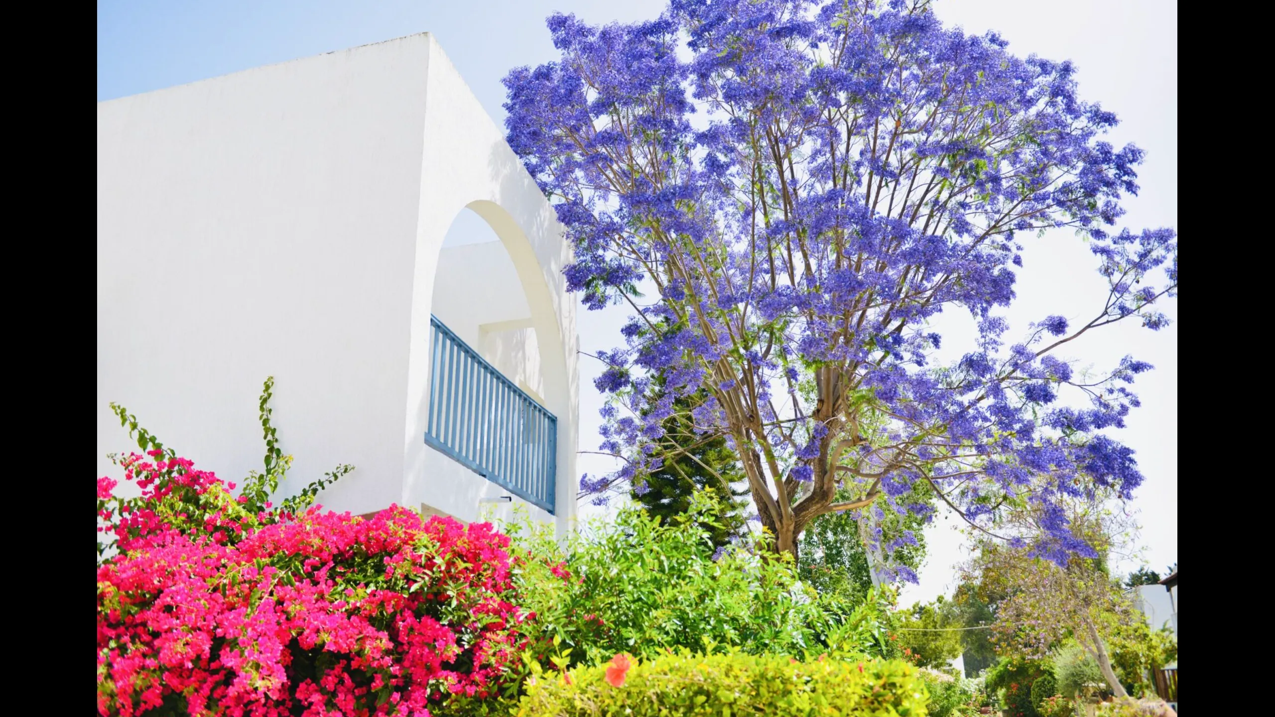 Стильные апаратменты, Като Пафос, Пафос 3