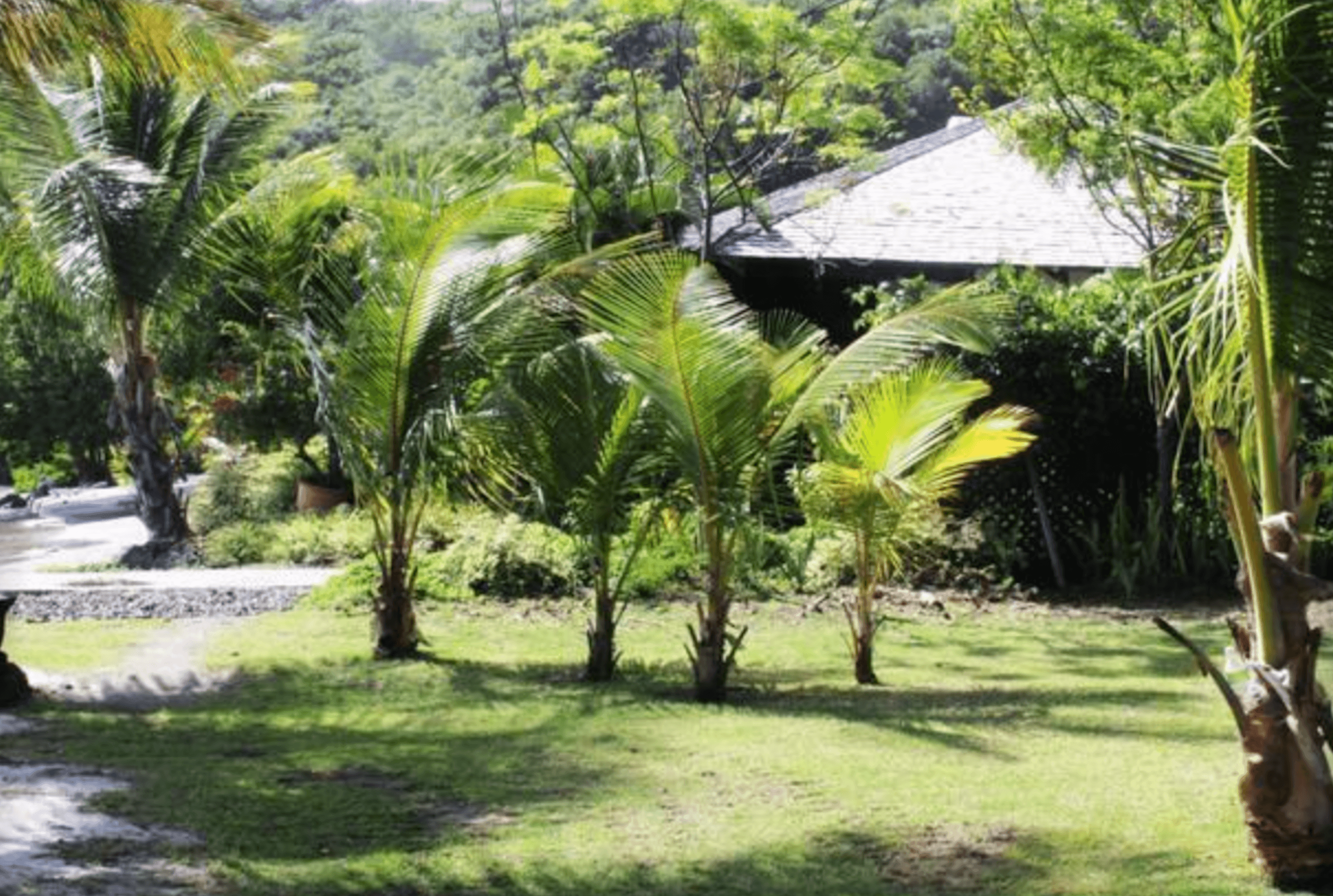 Villa with tropical garden view, St. Georges 13