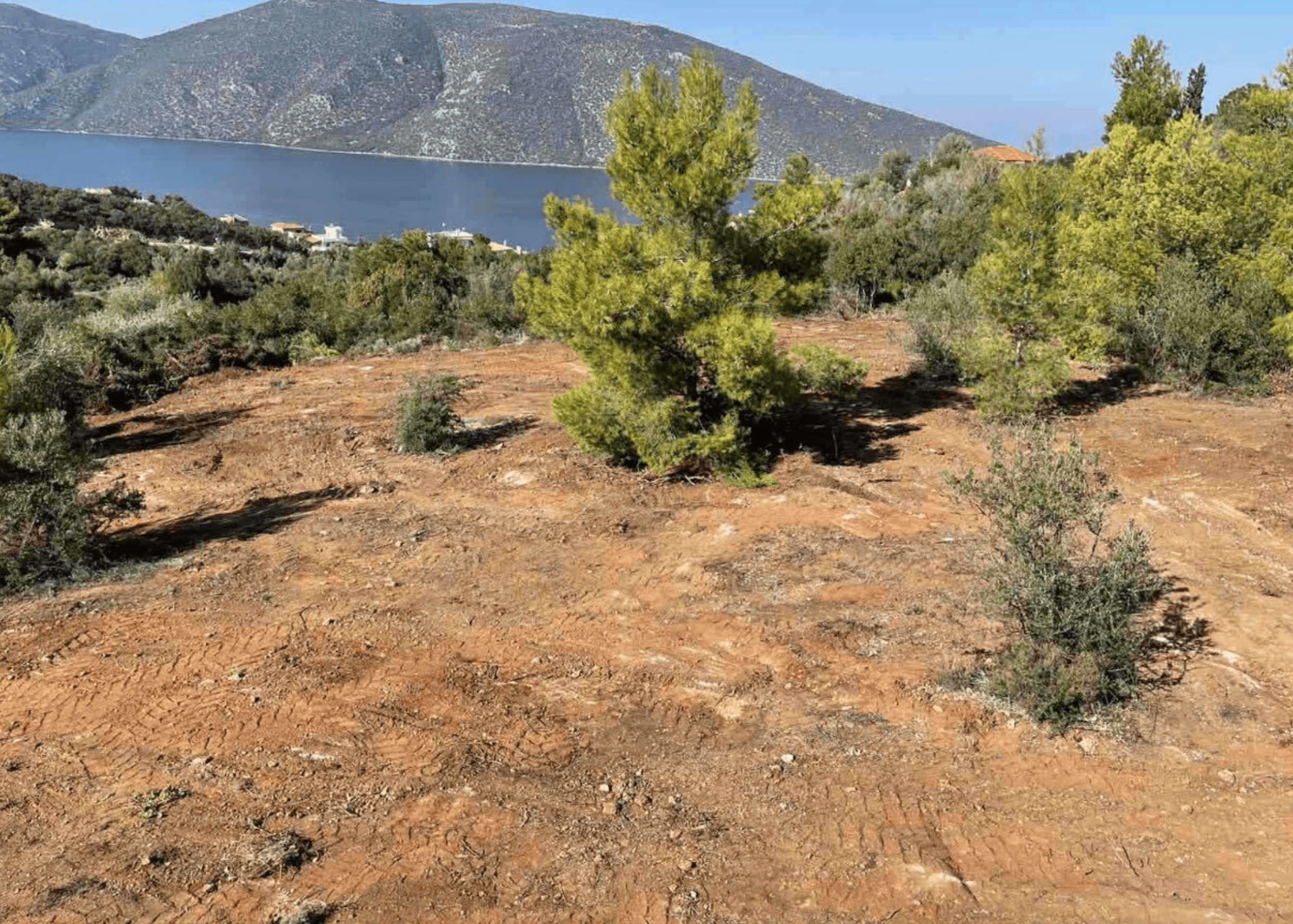 Elegant villas, Skroponeria 11