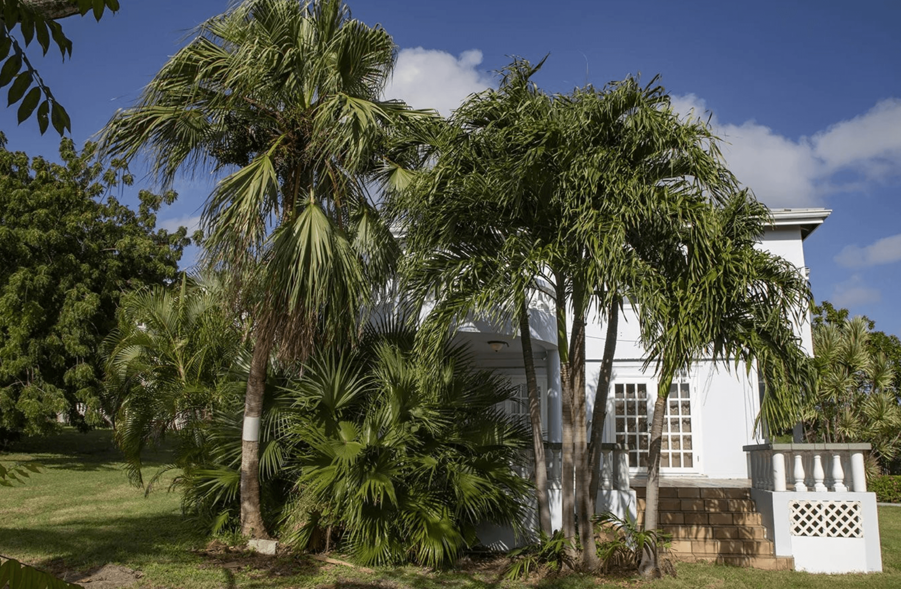 Family house, Fitches Creek, St. Johns 5