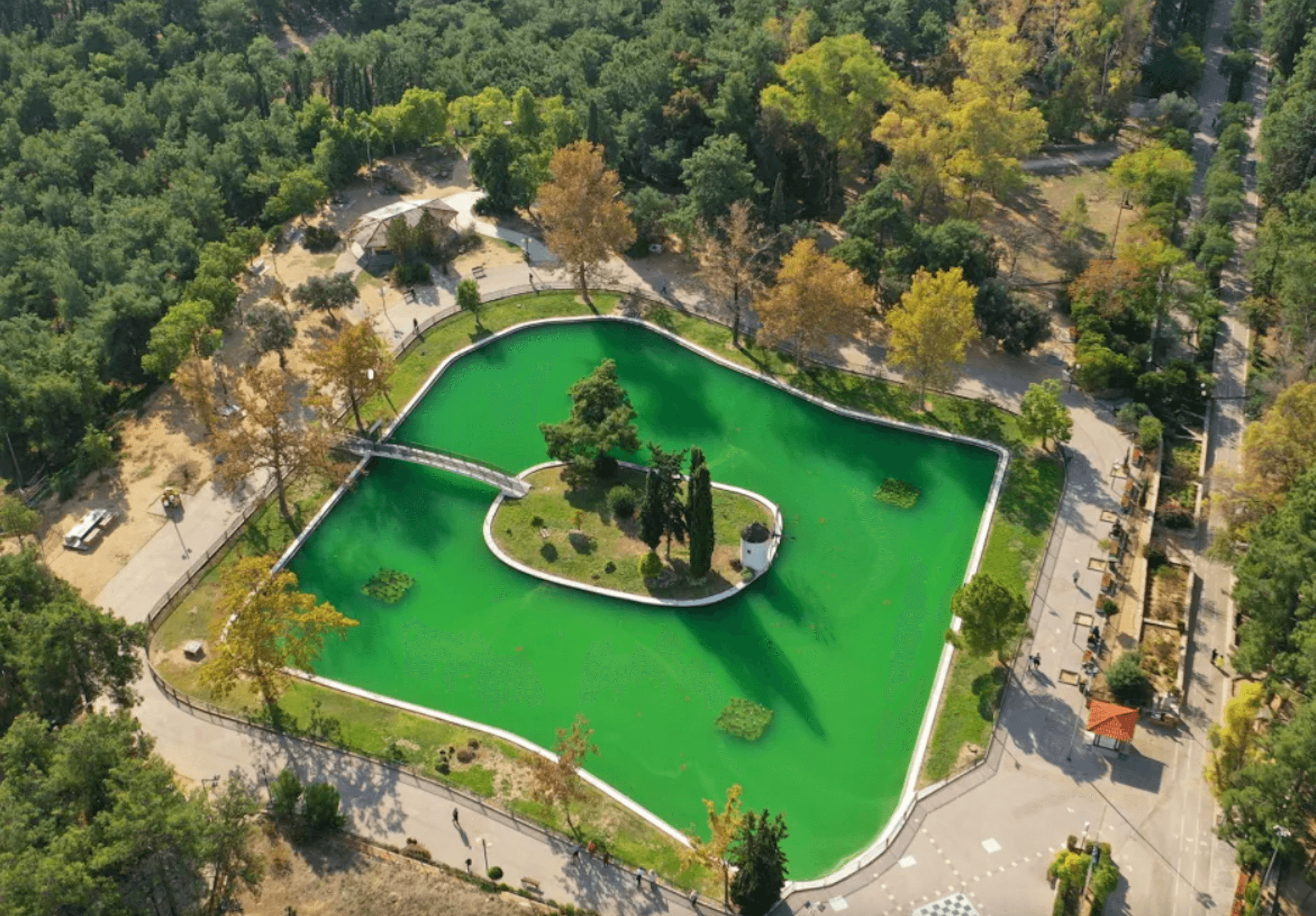 Apartments with rental guarantee, Nea Ionia, Athens 7